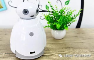 智能引領，教育先行 2018年少兒智能產品與教育機器人展揭示行業發展新篇章